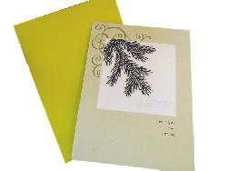 Glossy Greeting Cards